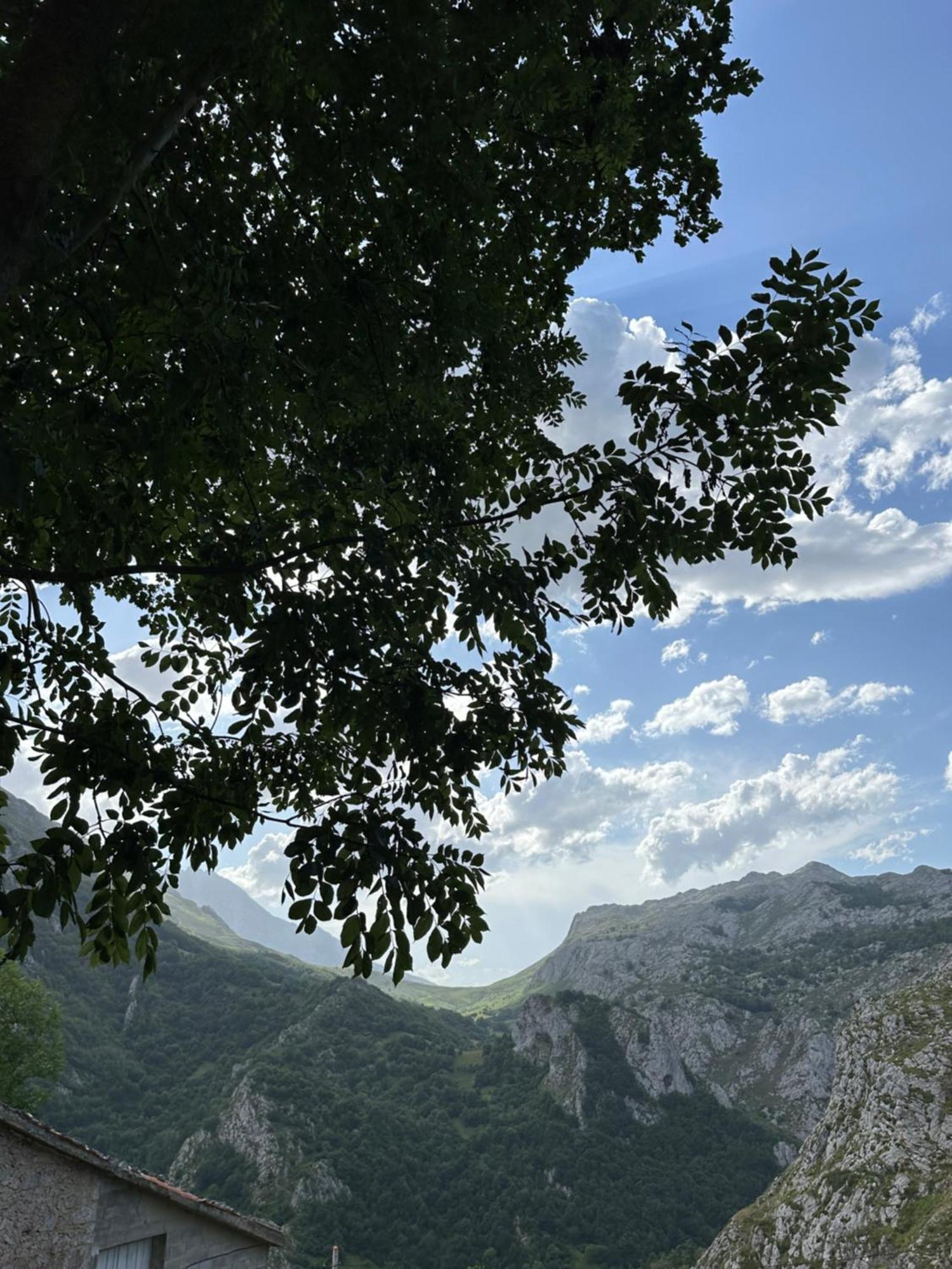 Albergue Pena Castil Sotres Extérieur photo